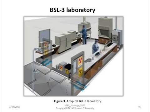 Image result for biological safety lab  3