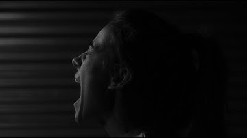 Whole (Official Music Video)  - 2DieFor