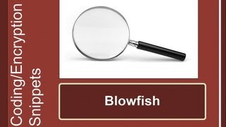 Famous Security Snippets: Blowfish Profile