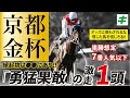 京都金杯 2023 【予想/穴馬】昨年は11番人気ダイワキャグニーを指名!縁起物は●●にあり!お年玉馬券の主役はあの馬だ!