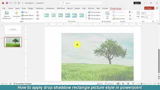 How to apply drop shadow rectangle picture style in PowerPoint