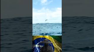 flying fish 🐟 ! this type fish can fly over a km 😯 ! fact @YouTube #shorts #facts #fish #new