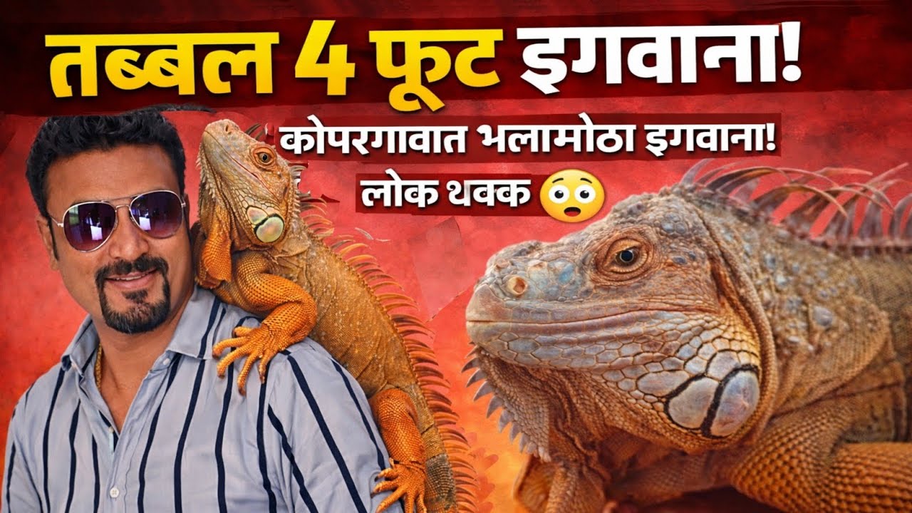 कोपरगाव Pet Carnival 🔥 इतके स्वस्त कुत्रे, मांजरी, पक्षी विक्रीसाठी 