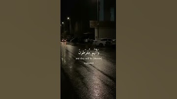 تلاوة خاشعة تريح القلوب 🌼