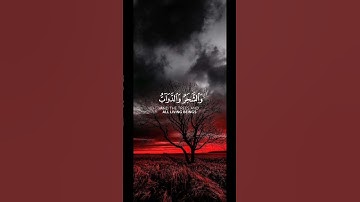 سوره الحج ❤️🥰#قران_كريم #قرآن #foryou #fyp
