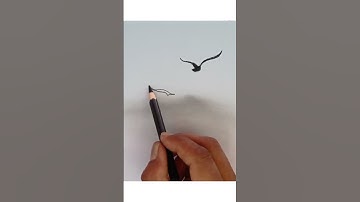 How to draw flying birds by pencil//#shorts//#sketch//