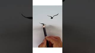 How to draw flying birds by pencil//#shorts//#sketch//