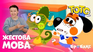 ТОТО 2: серія 2 | Я відчуваю! 🥰 | МУЛЬТИК ЖЕСТОВОЮ МОВОЮ | АНІМАЦІЙНИЙ СЕРІАЛ УКРАЇНСЬКОЮ