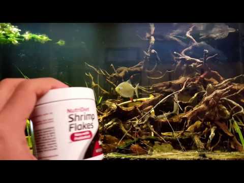 Seachem Nutridiet Shrimp Flakes 1 OZ – Zamzows store