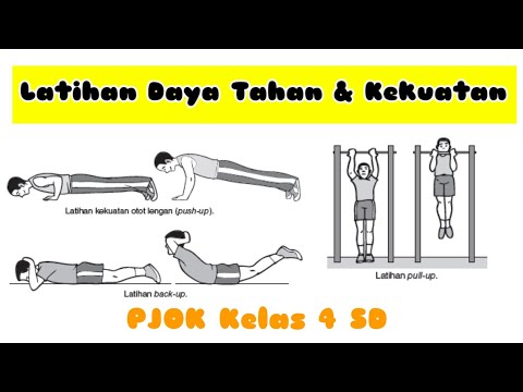 jokispin x gajahwin - Latihan Daya Tahan & Kekuatan Otot ( PJOK Kelas 4 )