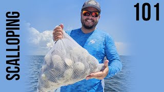 How to Get Started Scalloping - What You NEED! by Joshua Taylor 743 views 9 months ago 3 minutes, 15 seconds