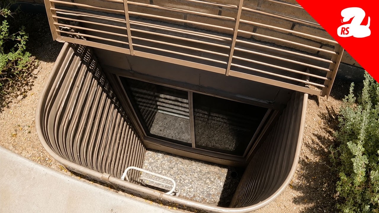 How Will We Get this Rattlesnake Out of the Window Well?