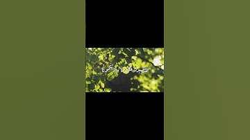 سورة ابراهيم آية 12 #اكسبلور #دويتو #المصحف #القرآن_الكريم #المنشاوي