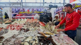 ХУРГАДА РИБНИЙ РИНОК (Hurgada Fish Market) ЗАГАЛЬНИЙ ОГЛЯД