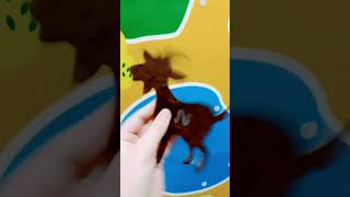 Лесные Животные 5