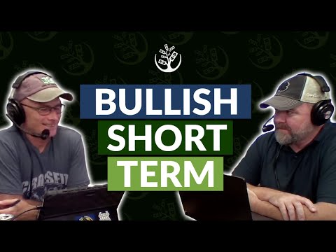 Bullish Short Term - Bearish Long Term | Apple Chart | TSP Charts | Weekly Update Show 07.24.2022