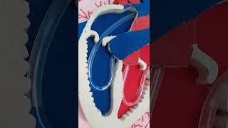 Maqueta Aparato Circulatorio