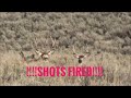 HUNTING PUBLIC LAND MULE DEER IN IDAHO WITH A BOW PART 3