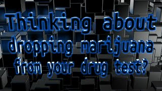 Thinking of dropping marijuana from your drug testing??