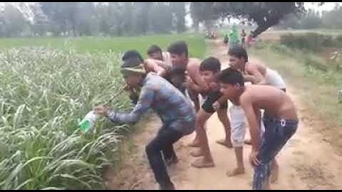 Snake hunters from India tackle Florida