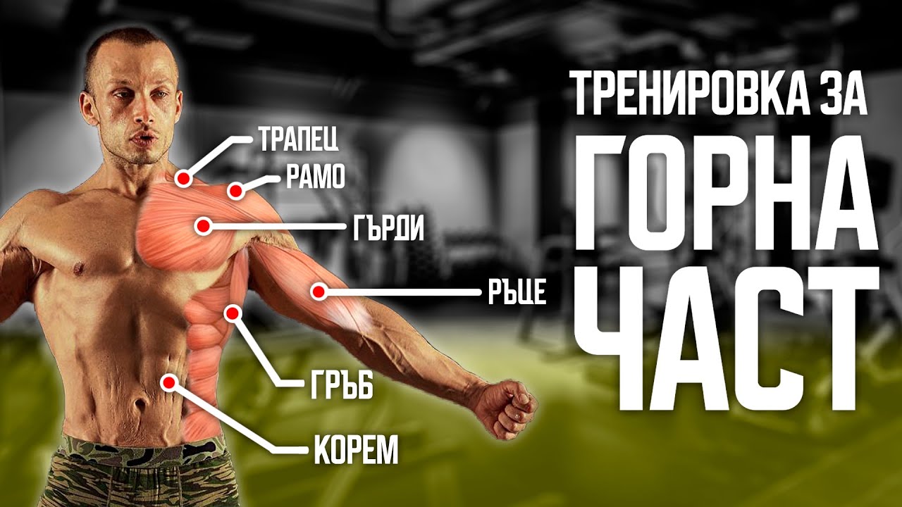 ПРИМЕРНА ТРЕНИРОВКА ЗА ГОРНА ЧАСТ