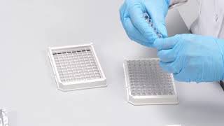 H2DON - a fast ELISA test kit for Deoxynivalenol analysis