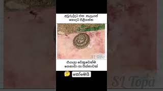 sltopa funny memes foryou trending comedy jokes