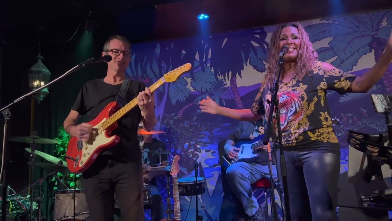 Lay Your Dagger Down,  The Stephen Inglis Project, Live at HB Social Club