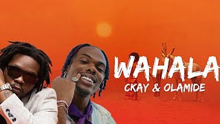 Ckay ft. Olamide - Wahala (REACTION) Resimi