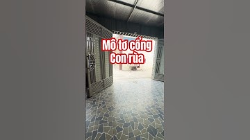 Cổng tự động con rùa #congtudong