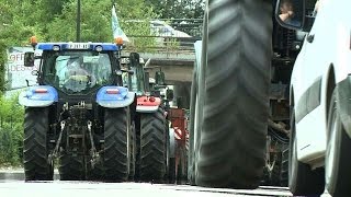 Fin des blocages des agriculteurs aux frontières en Alsace