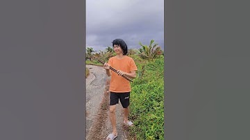 Laten we de handen ineenslaan om het milieu te beschermen