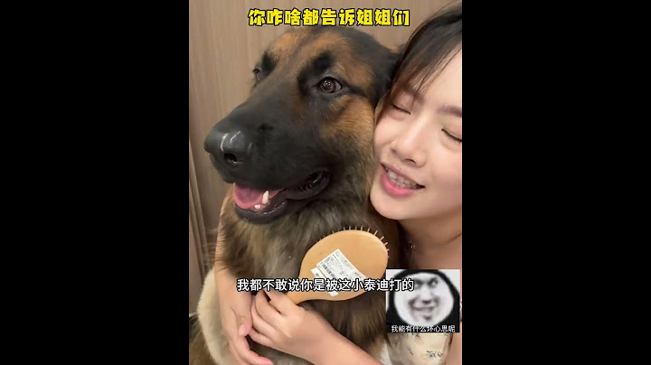 小狗也是要面子的，大家不能把八一丑事说出去哦狼 #德牧 #狗子日常 #养狗人 #狗狗 #萌宠日常记录
