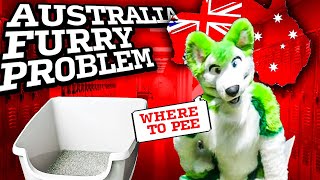 Do Australian FURRIES use LITTERBOXES? FURRY DRAMA