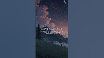 أحترم القران الكريم دقيقة فقط و أكتب #يارب❤❤❤❤❤❤❤❤❤