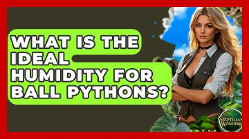 What Is The Ideal Humidity For Ball Pythons? - Reptilian Wonders