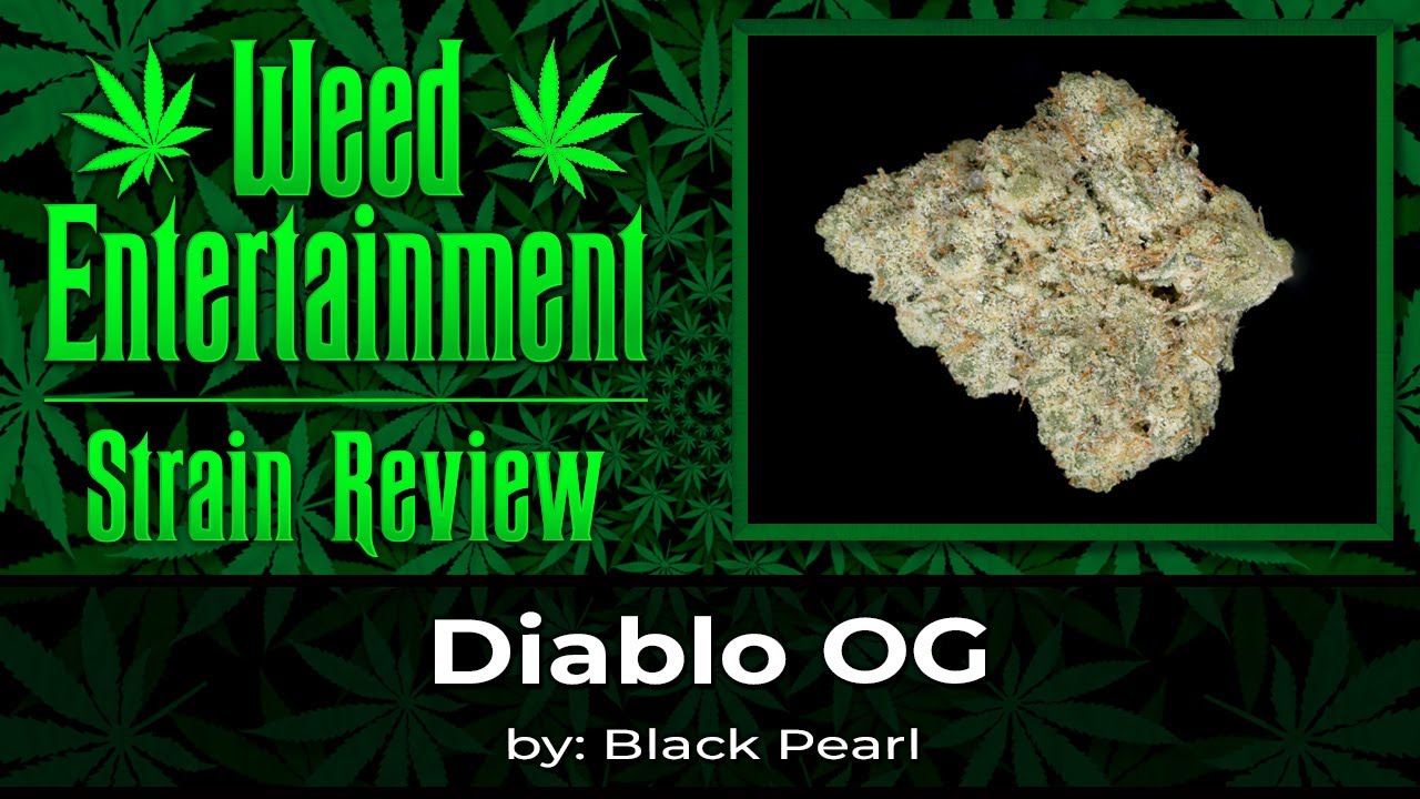 Diablo OG - by Black Pearl - Review - May 2025