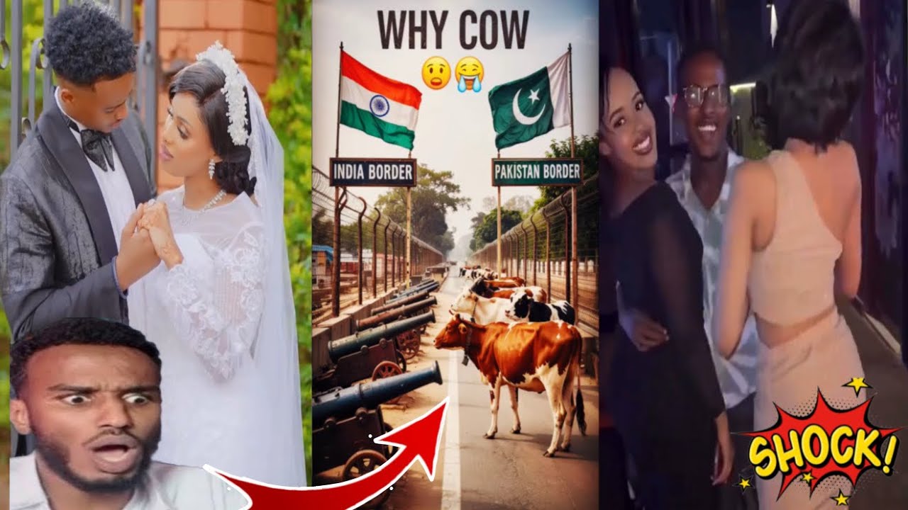 DAGAAL PAKISTAN IYO CALAMKA KA YAABSADEY IYO NAIROBI OO DAD CAAN U NOQOTEY HOYGA HALAGA NIGHT CLUB