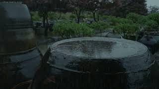 Rain Sounds Outside The Window, A Night Leading Into Deep Sleep.