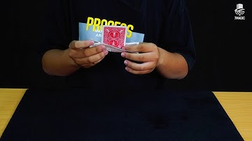 Cortana by Felix Bodden Handcrafted - 7 Magic