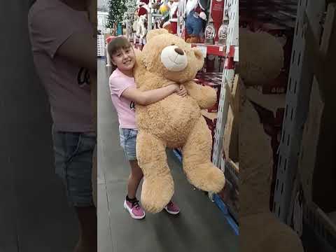 El oso gigante