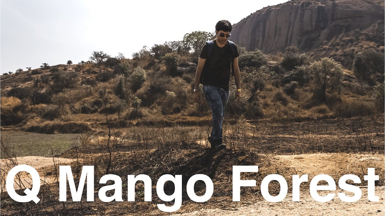 Q Mango Forest Ramanagara YouTube