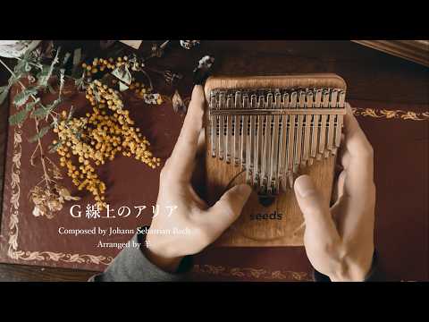 	Air on the G String - Johann Sebastian Bach