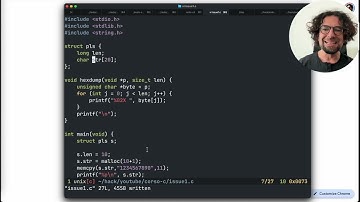 Impariamo il C, lezione 17: ancora sulle strutture, scelte di design sulle stringhe, hexdump().