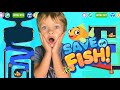 Save the fish gameplay with jessy