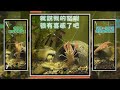 螯蝦吃飯綜藝感點滿　被飼料嚇到全身失控