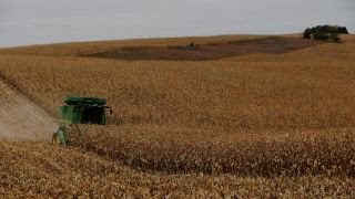 Iowa soybean farmer on tariffs: Farmers want trade, not aid