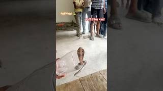 baby cobra snake rescue 😍 #viral #viralvideo #trendingsong #samar_singh_new_bhojpuri_video #😱🐍