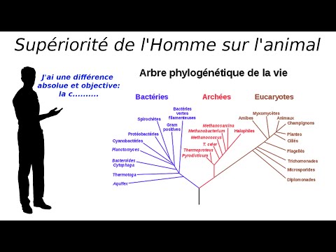 Vidéo: Qu'est-ce qu'une frontière constructive ?