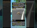 When Groundhogs Fight: The Brutal Highway Showdown No One Expected#GroundhogFight #WildlifeDrama